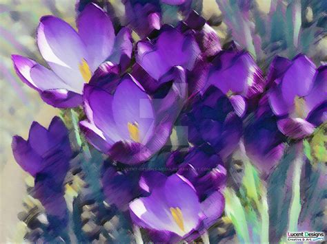 Canvas Painting: Purple Crocus by Lucent-Designs-Media on DeviantArt