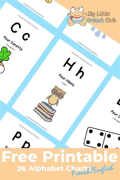 Featuring colourful graphics, your preschool children will love learning the letters of the ...