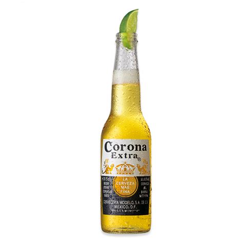 Corona Extra 330ml | Molloy's Liquor Stores