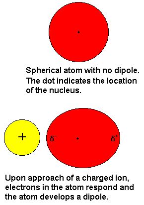 Induced Dipole Forces | Chemistry, Force, Microbiology