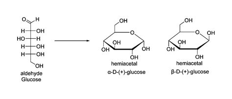 How do animals store glucose? Do animals make glucose?