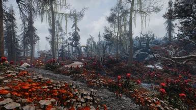 Morthal Swamp Mushroom Grass Overhaul by Kemper at Skyrim Special ...