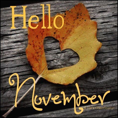 Happy November 1st! | Hello november, Happy november, Welcome november