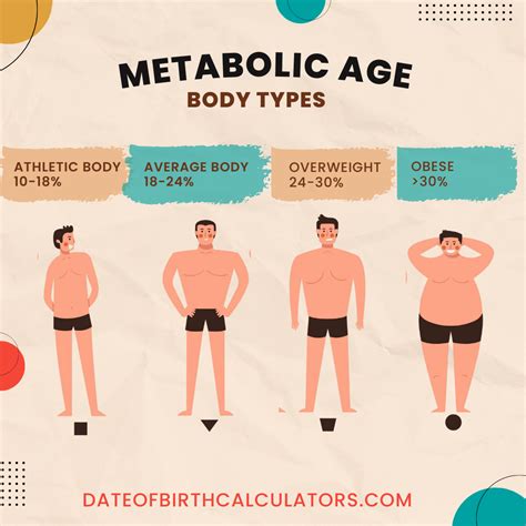 Metabolic Age Calculator: Ultimate Guide - dateofbirthcalculators.com