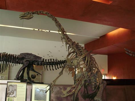 Therizinosaurus | Andrew Everett | Flickr