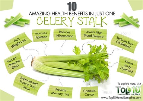 Celery: 10 Health Benefits, Nutrition and How to Eat | Top 10 Home Remedies