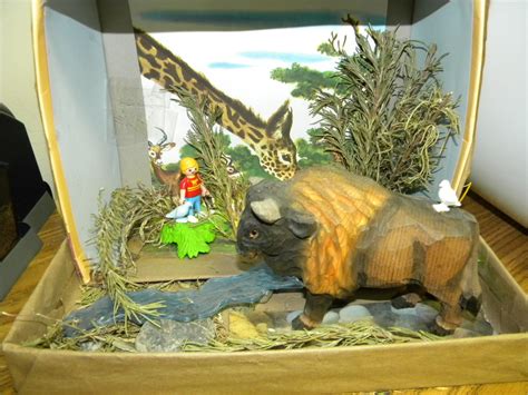 Habitat Diorama Project - Ms. C. Evans' Third Grade