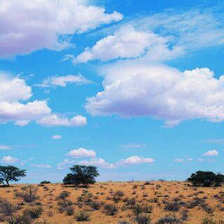 | Vegetation states in arid and semi-arid ecosystems. a, Basic ...