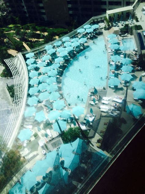 Vdara pool | Las vegas pool, Las vegas honeymoon, Vegas pools