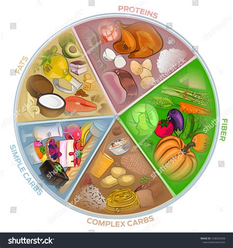 Circle Nutrition Food Watercolor Diet Meat Stock Vector (Royalty Free) 1538322038 | Shutterstock