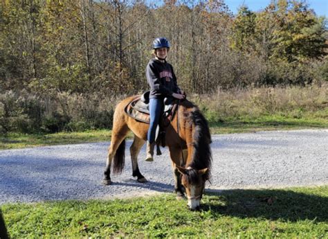 Saddle up: a guide to Western Horseback Riding Competitions – The ...