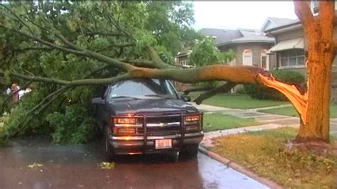 Chicago Weather: Severe storms, toppled trees leave damage in ...