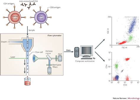 Flow cytometry: History, Components, Applications- MBD