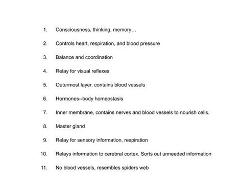 Brain Functions Quiz