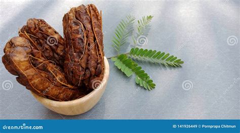 The Group of Dried Tamarind Stock Image - Image of herbs, color: 141926449