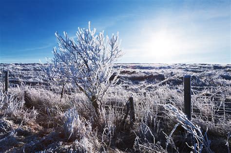 Landscape With Hoar Frost Free Stock Photo - Public Domain Pictures