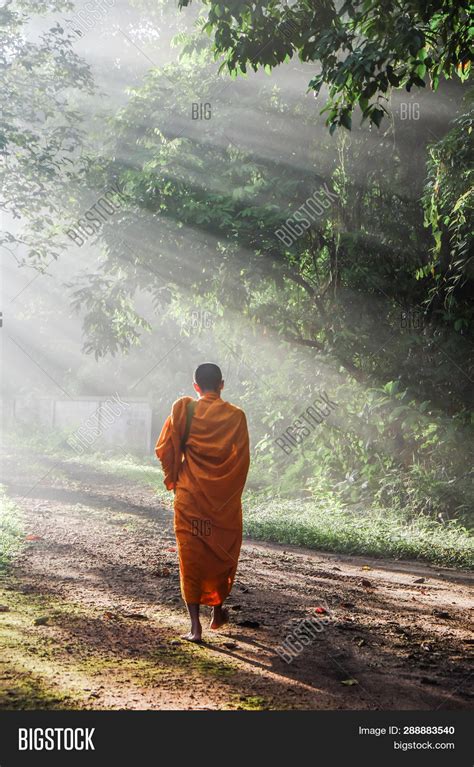 Buddhist Monk Walking Image & Photo (Free Trial) | Bigstock