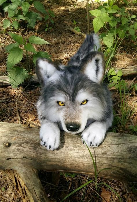 Realistic plush wolf Pet portrait plush Collectible pet toy | Etsy