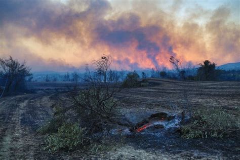 Residents Flee as Winds Fan Massive Wildfire in Southern Turkey