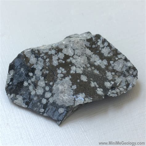 Snowflake Obsidian Igneous Rock - Mini Me Geology