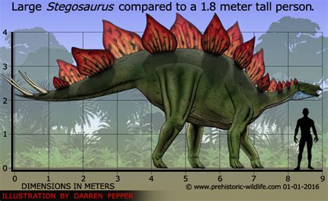 Stegosaurus