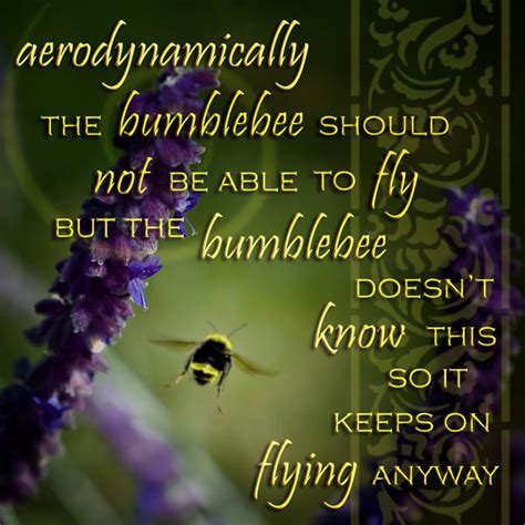 Quotes About Bees. QuotesGram