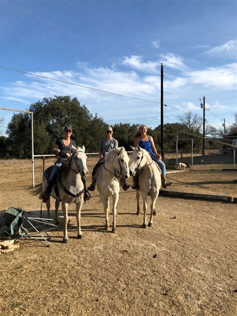 Happy Trails Horseback Riding - Horseback Riding - 528 Brenda Dr, Killeen, TX - Phone Number - Yelp