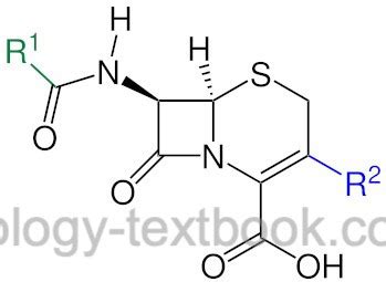 Cephalosporins: Four Generations of Beta-Lactam Antibiotics