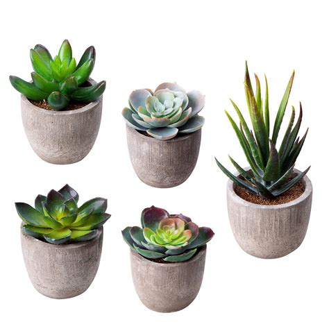 MoonLa Artificial Succulent Plants, Assorted Decorative Faux Succulent Potted Fake Cactus Cacti ...