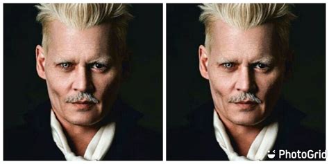 Who Is Grindelwald?