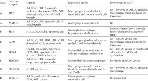 The major scavenger receptor ligands and expression profiles. | Download Table