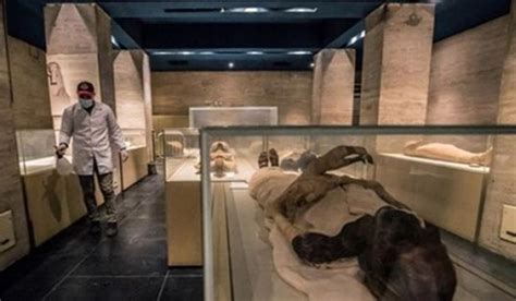 Royal mummies hall at NMEC opens its doors to visitors on Sunday-SIS