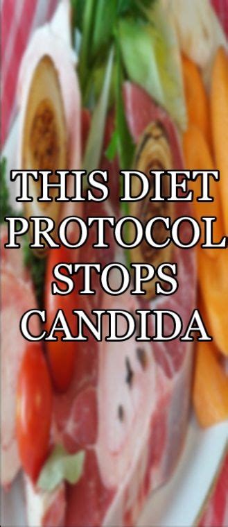 The Candida Diet Protocol | Inhibit Candida and Improve Health | Candida, Candida diet, Candida ...