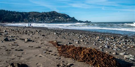 Pacifica State Beach | Outdoor Project