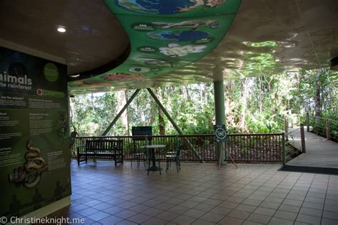 A Journey Above The Trees With Kuranda Skyrail Rainforest Cableway ...