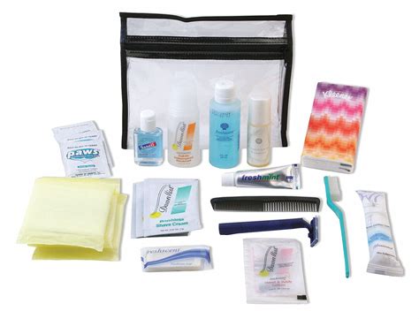 READY AMERICA Personal Emergency Hygiene Kit, Number of Components 26, People Served 1, Clear, 6 ...