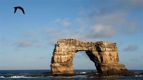 Iconic 'Darwin's Arch' in the Galapagos has crashed into the sea | Live ...