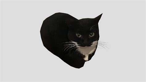 Maxwell the cat (Dingus) - Download Free 3D model by bean(alwayshasbean ...