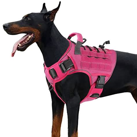 I Tested And Ranked The Best Great Dane Dog Harness In 2024: And Here's ...