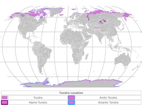 Biomes:Tundra - Lessons - Blendspace