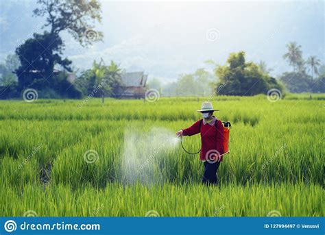 Pesticides is Harmful To Health Stock Image - Image of farms, field ...