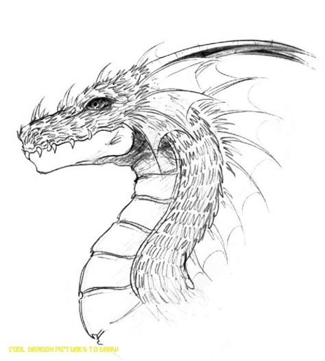 Drachen Zeichnungen Bleistift | Dragon head by ... | cool dragon pictures to draw | Dragon ...