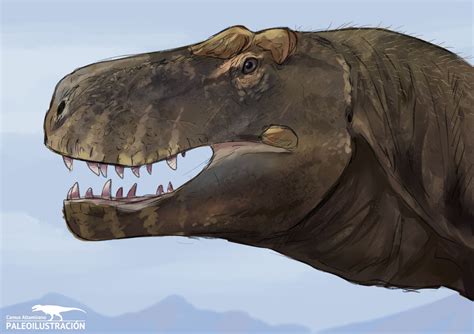 Tyrannosaurus mcraensis by CamusAltamirano on DeviantArt