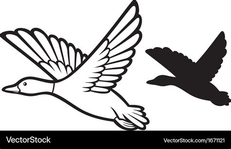 Mallard duck flying Royalty Free Vector Image - VectorStock