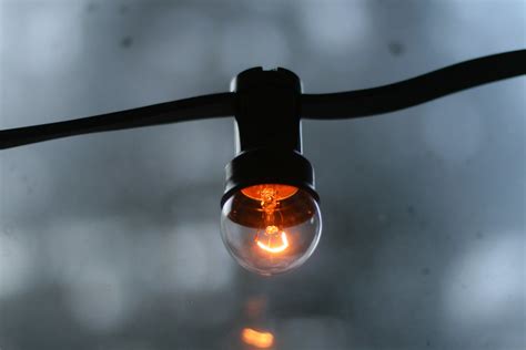 Dim light bulb | I use these light bulbs as Christmas lights… | Jan-Erik Finnberg | Flickr