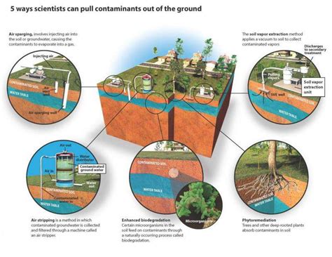 Five ways scientists can make soil less dirty