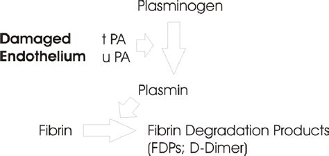 Fibrinolysis Pathway. A simplified fibrinolysis pathway is illustrated ...