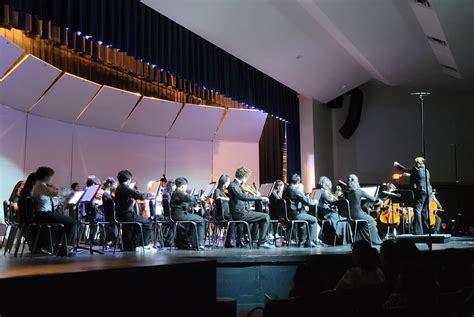 Junior high students earn half of regional orchestra seats