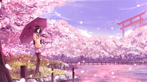 Anime Girl Purple Umbrella Pink Sakura Flowers Background 4K HD Anime ...