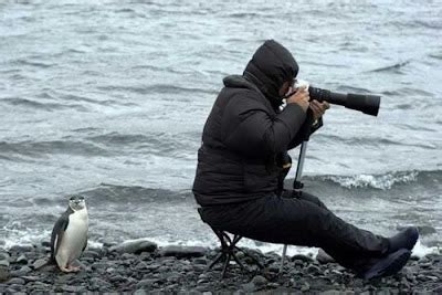 facts around us: Camera Fails | Blog Fail Pictures | Epic Cam Fail